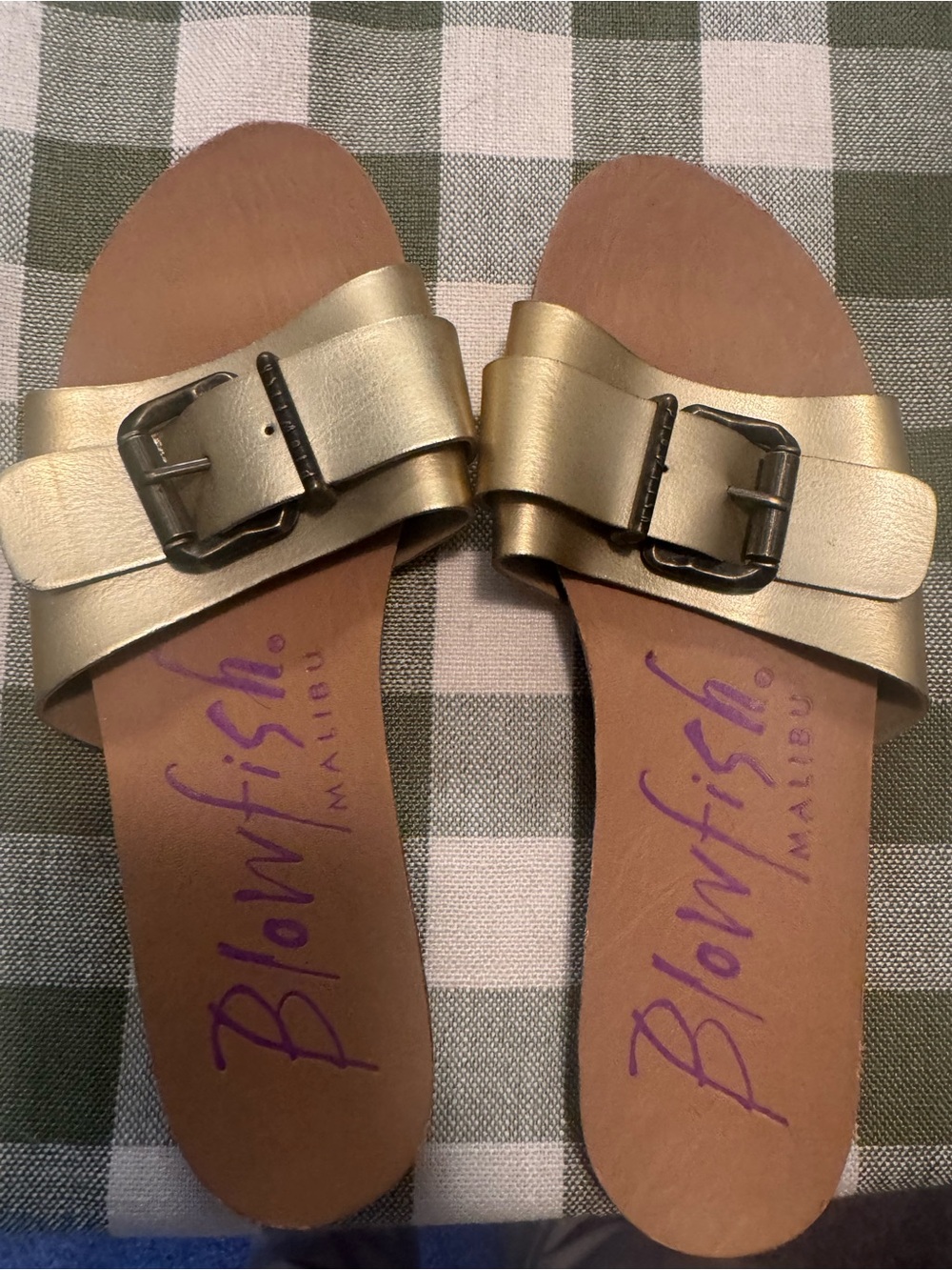 Blowfish Malibu Gold Leather Slide Sandals